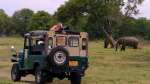 Wilpattu